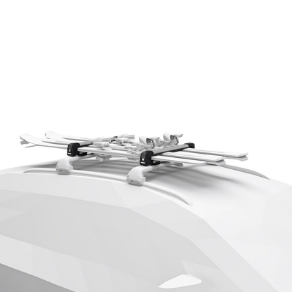 Thule SnowPack