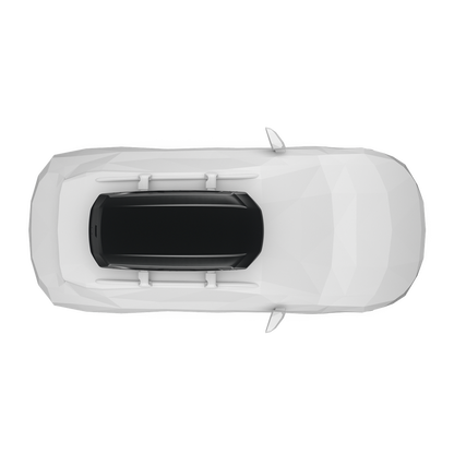Thule Pulse 2 Cargo Box
