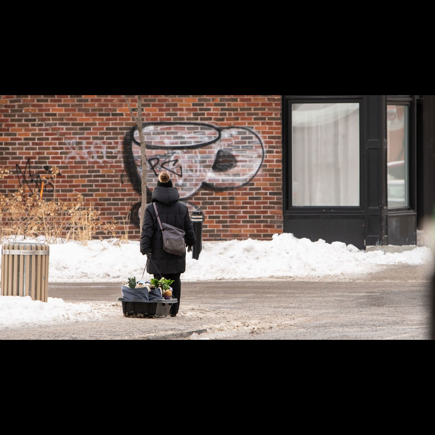 Pelican Luge Utilitaire Trek 45