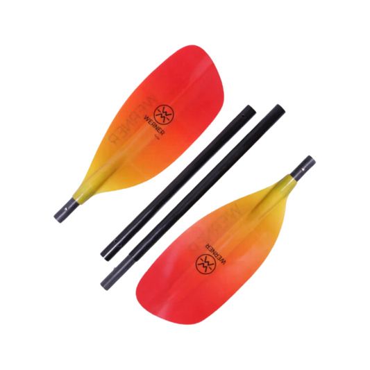 Werner Pagaie Surge 4pc Manche Droit R30 203 cm FG Blaze